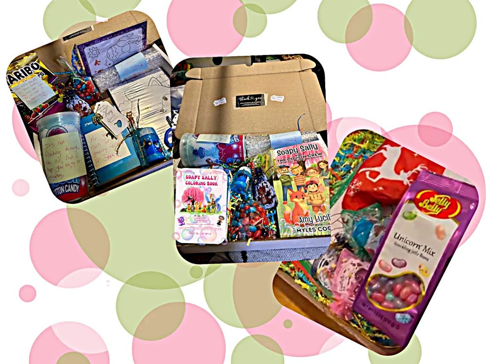 A Bubble Fox Hollow book box with a signed book, coloring book and goodies
